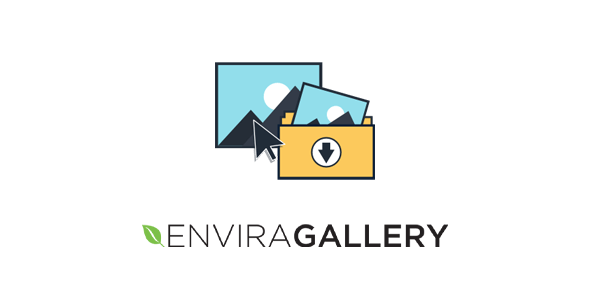 Envira Gallery Downloads Addon 1.5.12