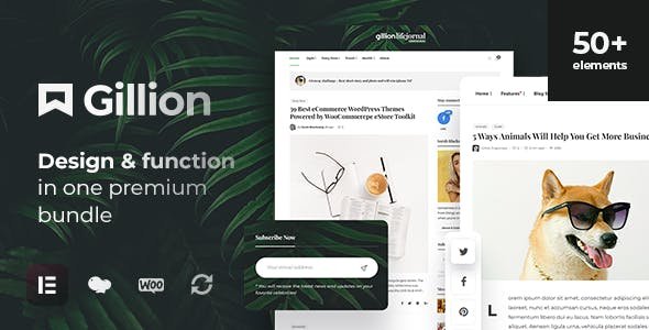 Gillion Blog Magazine And Shop Theme 4.14.1