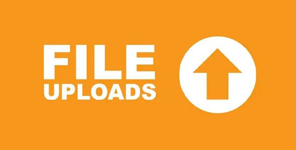 Ninja Forms File Uploads 3.3.27