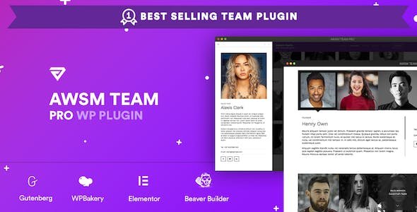 The Team Pro Team Showcase Plugin 1.11.5