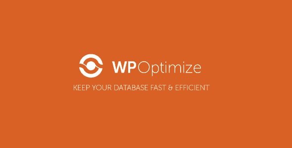 WP-Optimize Premium Plugin 4.5.5