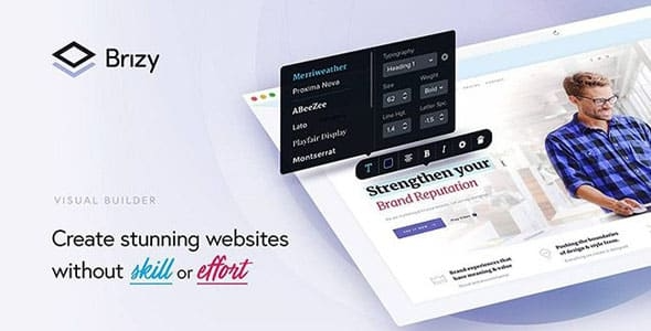 Brizy Pro WordPress Plugin 2.8.9